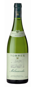 Torres Milmanda Chardonnay 2016- D.O. Conca de Barbera