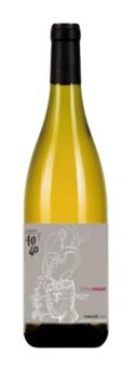 Vino4040 Otro Andar Torrontes 2023 (Orange Wine)