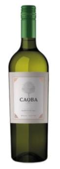 Familia Falasco Caoba Torrontes 2023