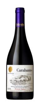 Von Siebenthal Carabantes Syrah 2022