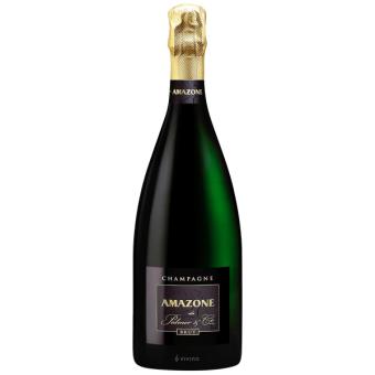 images/productimages/small/champagne-amazone-de-palmer.jpg