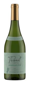 Thibaut Delmotte Assemblage White 2025