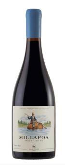 Torres Millapoa Pais Old Vines 2022